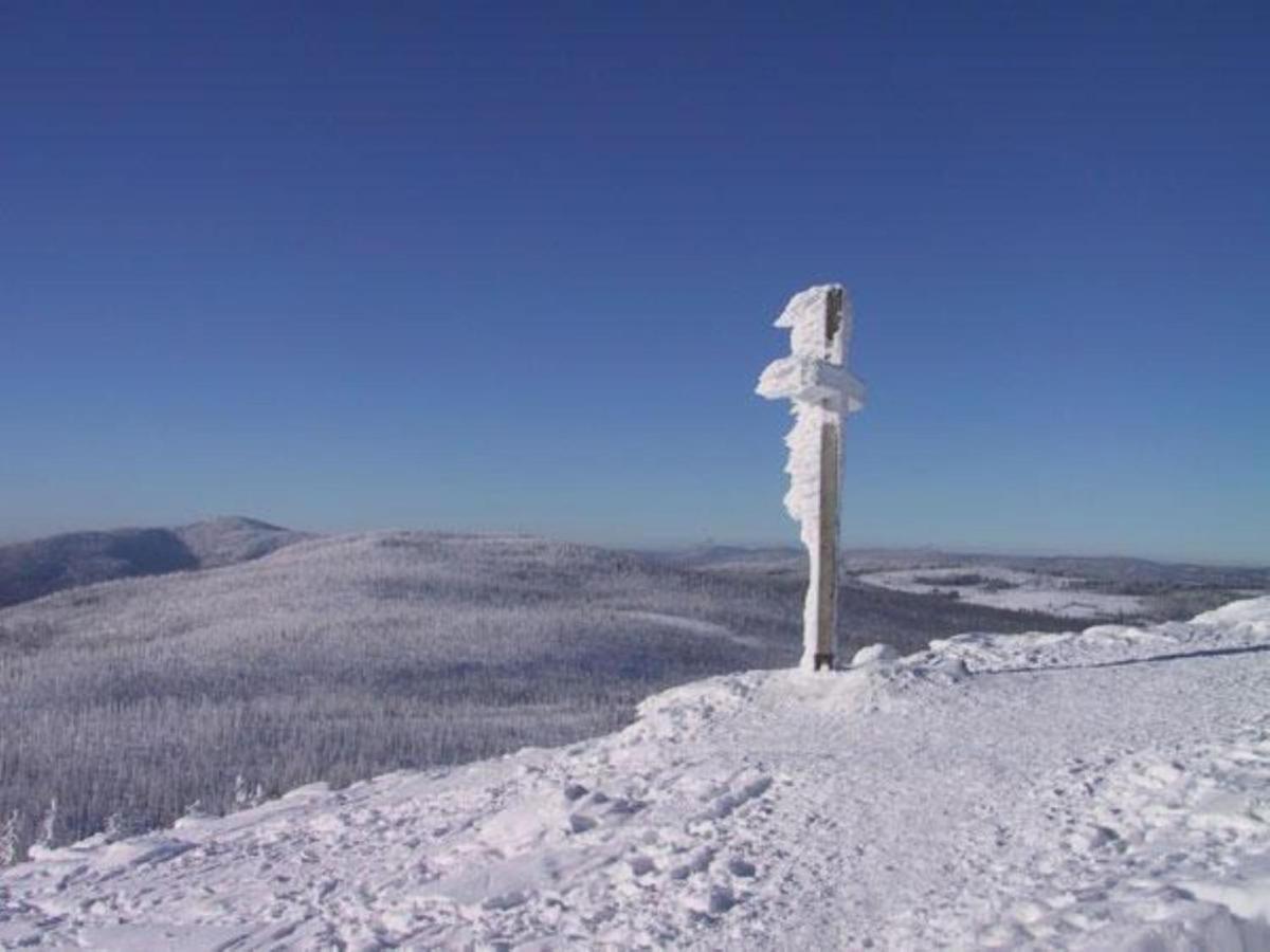 Pension Wiesengrund Neuschönau Exteriör bild