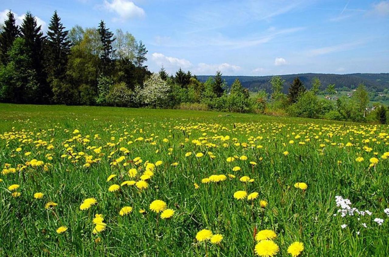 Pension Wiesengrund Neuschönau Exteriör bild