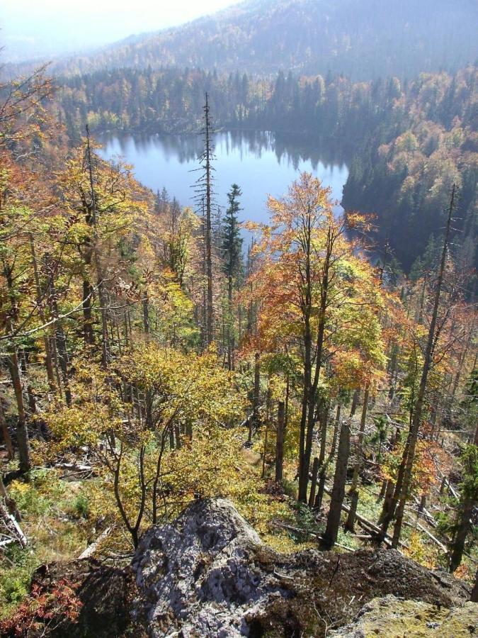 Pension Wiesengrund Neuschönau Exteriör bild
